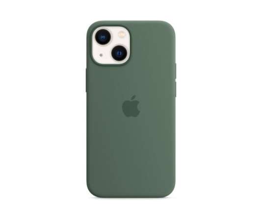 Apple iPhone 13 mini Silicone Case / MagSafe - Eucalyptus