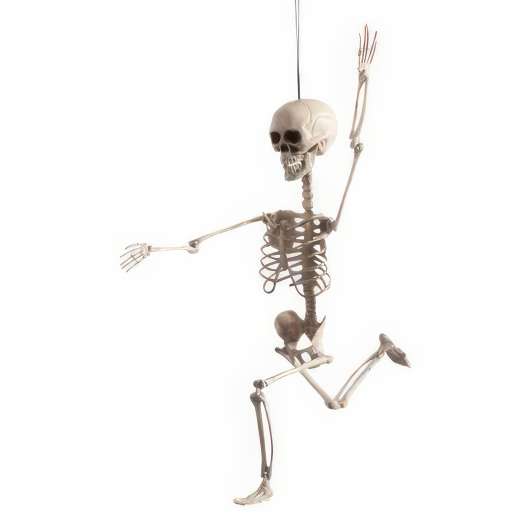 Böjbart Skelett Hängande