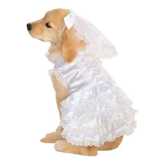 Brudklänning Hund Maskeraddräkt - Large