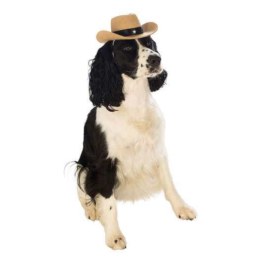 Cowboyhatt för Hundar - Medium/Large