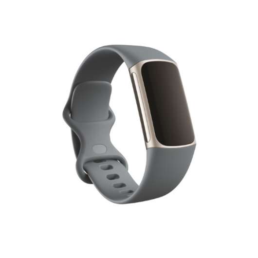 Fitbit Charge 5 - Steel Blue/Platina