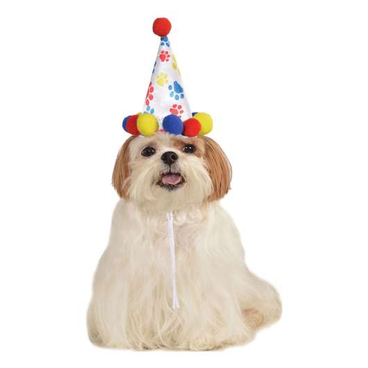 Födelsedagshatt för Hundar - Medium/Large