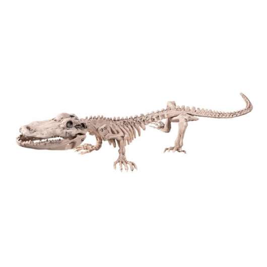 Krokodil Prop - 50 cm