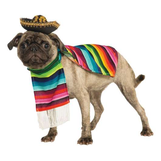 Mexiko Hund Maskeraddräkt - Large