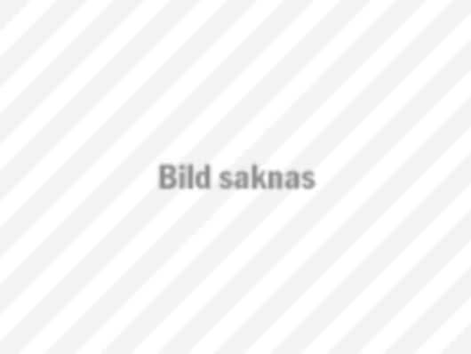 OnePlus 9 Pro Sandstone Bumper Case Sandstone - Svart Early