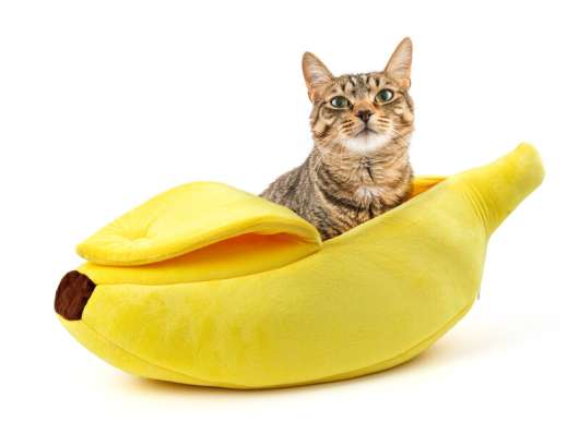 Spralla Banan Kattbädd