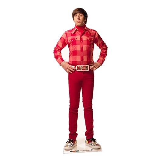 The Big Bang Theory Howard Wolowitz Kartongfigur